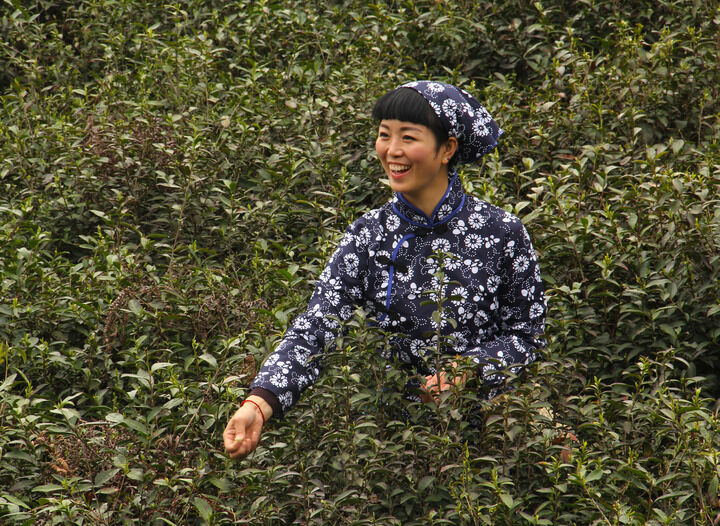 96间房主跳舞 第七个猎物